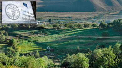 کشاورزی در ارمنستان عکس از سازمان فائو